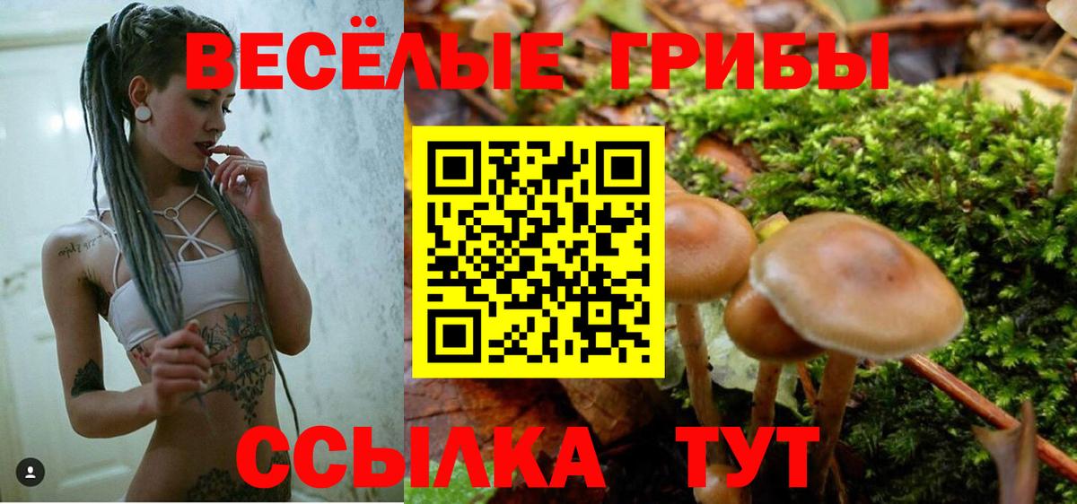 Галлюциногенные грибы Magic Shrooms Сокол