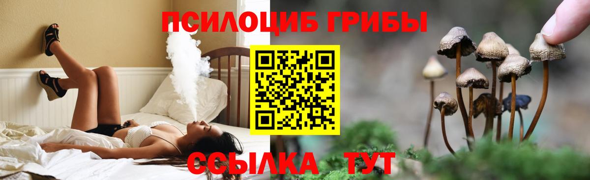 Сокол  Псилоцибиновые грибы ЛСД  продажа наркотиков  Вход с VPN  Псилоцибиновые грибы прущие грибы 