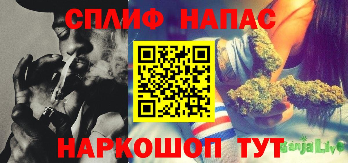 Шишки марихуана планчик Сокол